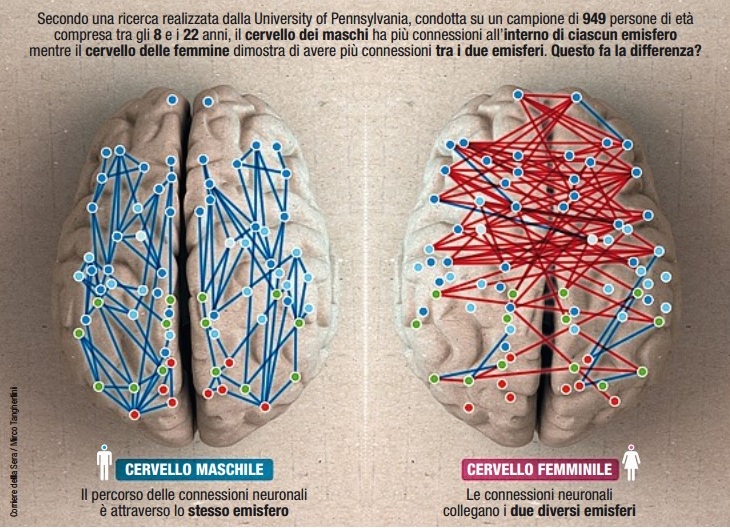 Le 9 Differenze Nel Cervello Maschile E Femminile Igor Vitale