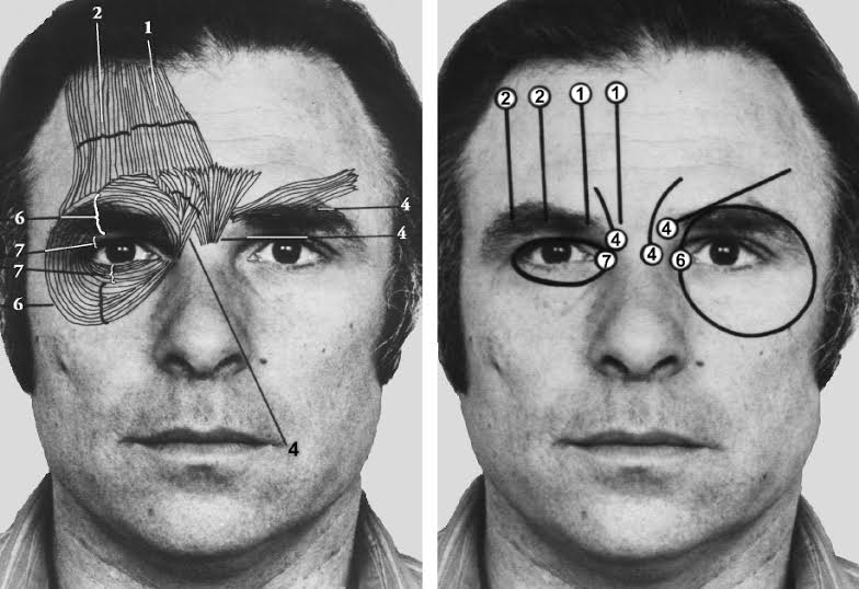 comunicazione non verbale facciale facial action coding system