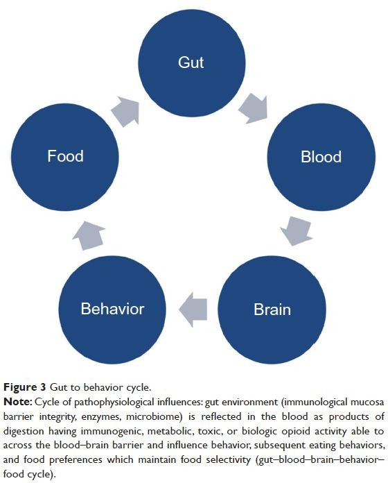 ciclo cervello intestino comportamento