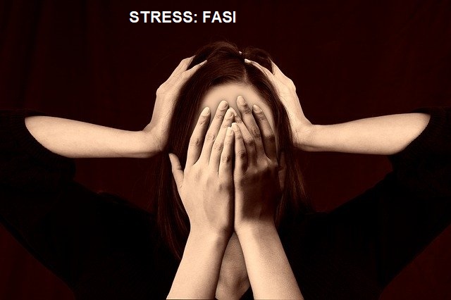 stress fasi