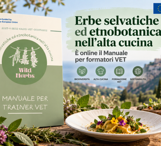 erbe spontanee progetto erasmus wild herbs